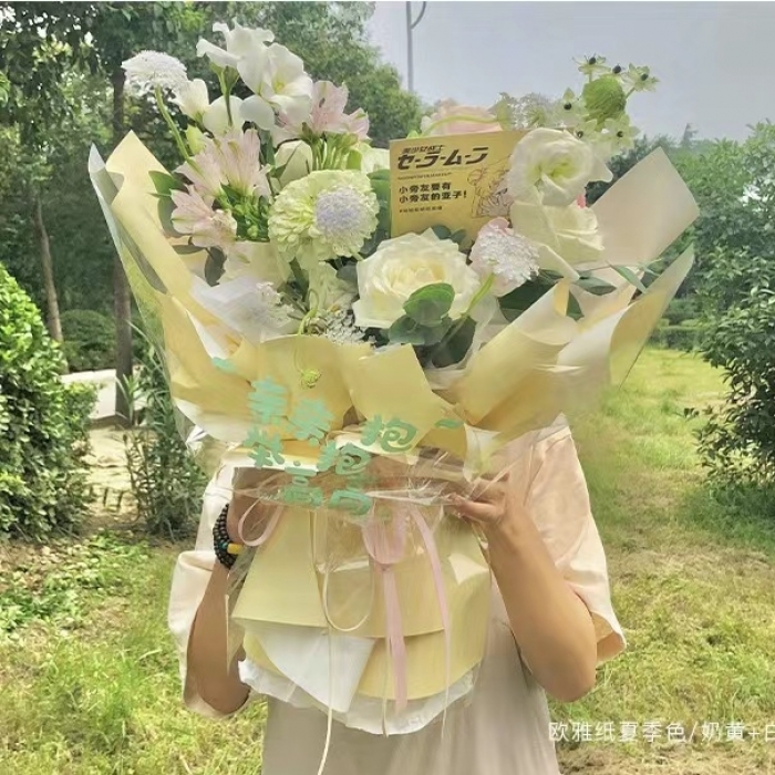 欧雅纸~夏季风
