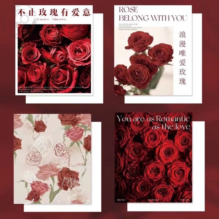 守护爱情玫瑰